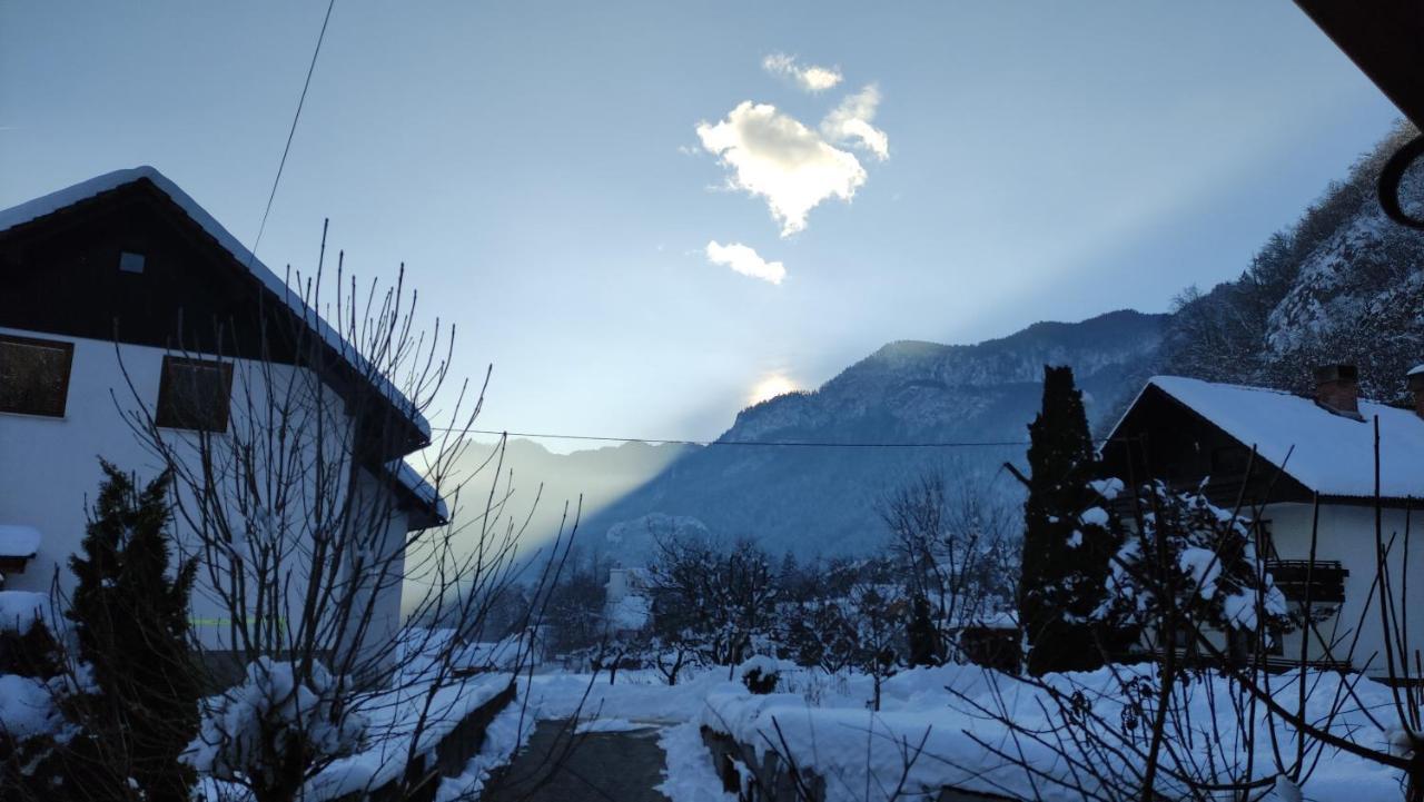 Готель Alp House Богиньська Бела Екстер'єр фото