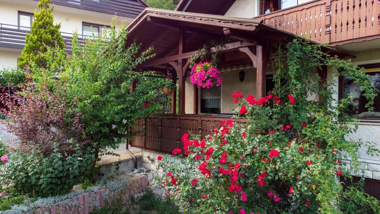 Готель Alp House Богиньська Бела Екстер'єр фото